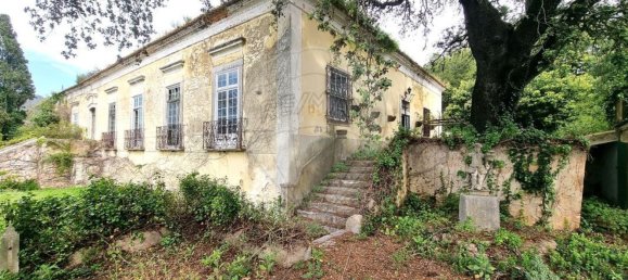 1 غرف نوم منزل في Setubal, Portugal رقم 64885 10