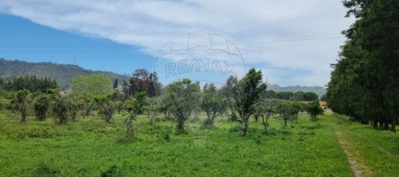 1 غرف نوم منزل في Setubal, Portugal رقم 64885 23