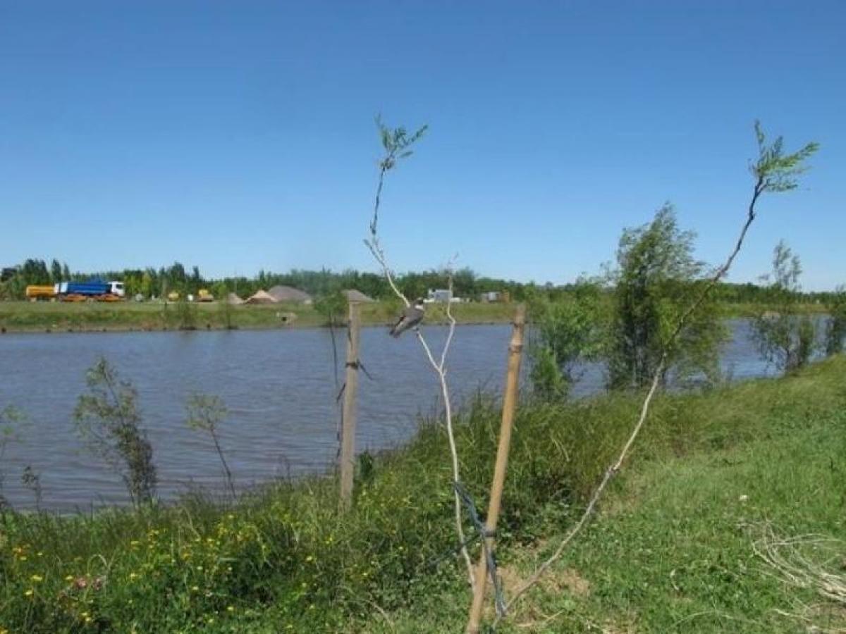Terreno en Buenos Aires, Argentina No. 118742