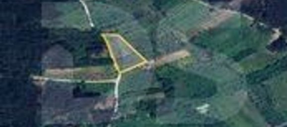 3000m² Land in Ourem, Portugal No. 91934 2