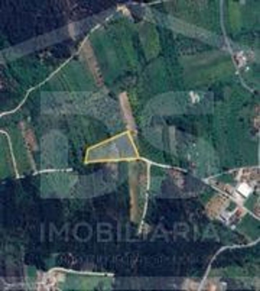 3000m² Land in Ourem, Portugal No. 91934