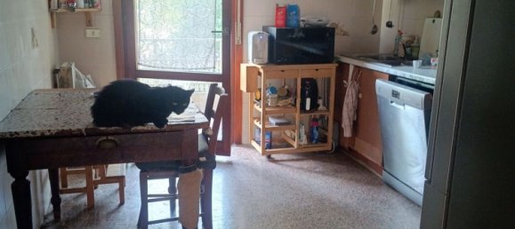 6 rooms House in Albignasego, Italy No. 292518 5