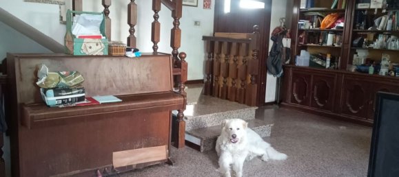 6 rooms House in Albignasego, Italy No. 292518 18