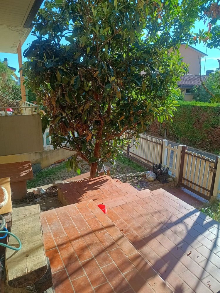 6 rooms House in Albignasego, Italy No. 292518