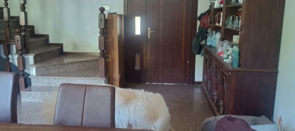 6 rooms House in Albignasego, Italy No. 292518 24