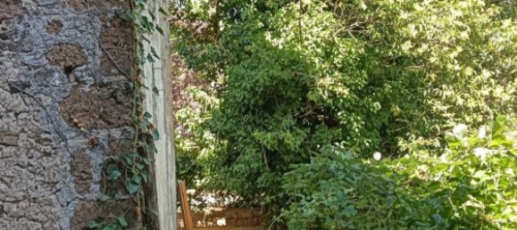 4-Zimmer Doppelhaus in Vetralla, Italy, Nr. 275580 13