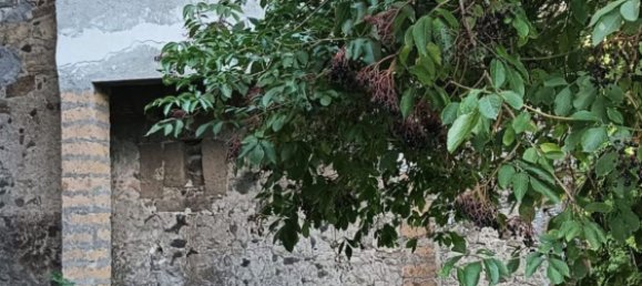 4-Zimmer Doppelhaus in Vetralla, Italy, Nr. 275580 11