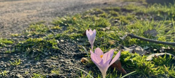  قطعة أرض في Brandenburg, Germany 571متر مربع رقم 8033 4