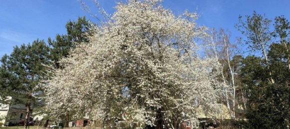  قطعة أرض في Brandenburg, Germany 571متر مربع رقم 8033 3