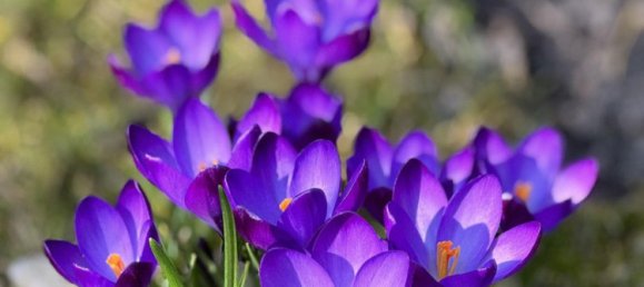  قطعة أرض في Brandenburg, Germany 571متر مربع رقم 8033 2