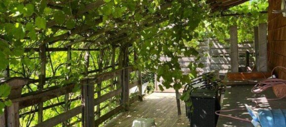 2 rooms House in Kirchdorf in Tirol, Austria No. 247364 3