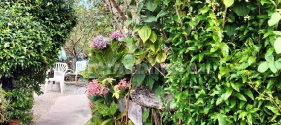 12 bedrooms Villa in Stella, Italy No. 292375 14