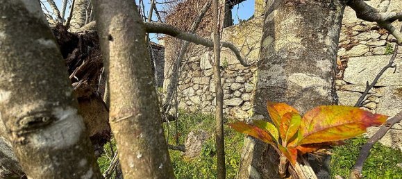 3 bedrooms House in Arcos de Valdevez, Portugal No. 174862 11