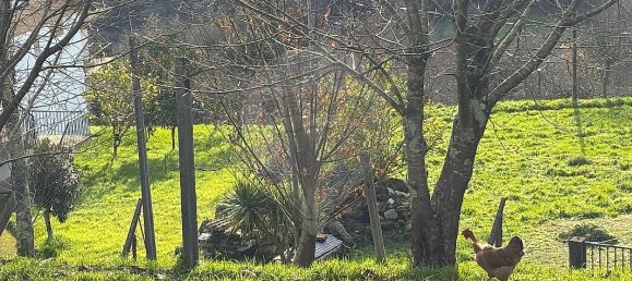 3 bedrooms House in Arcos de Valdevez, Portugal No. 174862 22