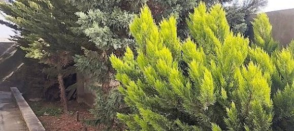 Дом с 4 спальнями в Сураханский район, Азербайджан № 11 4