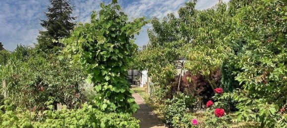 Grundstück in Saalekreis, Germany, Nr. 268164 2