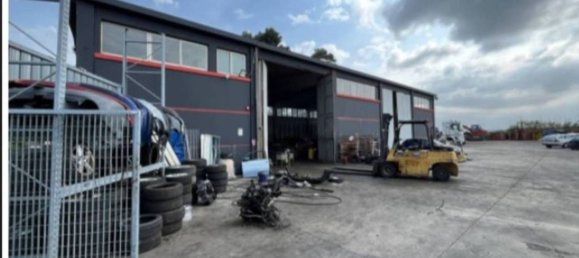 Entrepôt à Pescara, Italy 882m² No. 294294 10