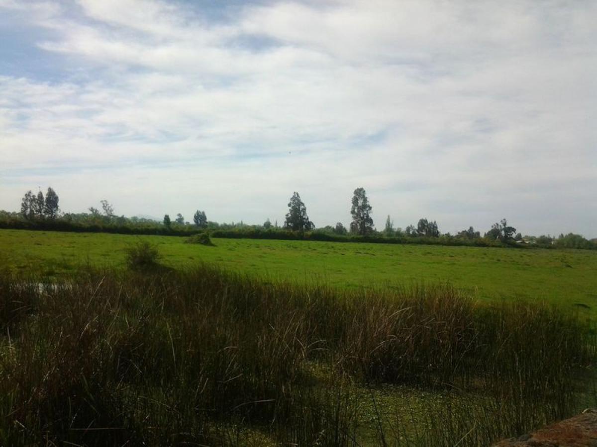 Terreno en Biobío, Chile No. 892