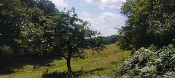 3 bedrooms House in Oberbergischer, Germany No. 279154 5