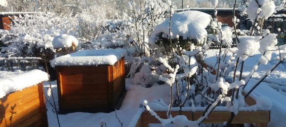 2 rooms House in St. Veit an der Golsen, Austria No. 228449 40