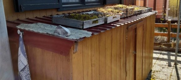 2 rooms House in St. Veit an der Golsen, Austria No. 228449 29