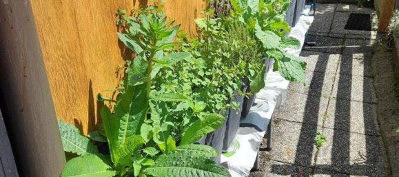 2 rooms House in St. Veit an der Golsen, Austria No. 228449 7