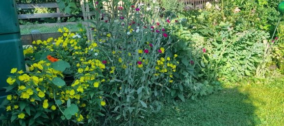 2 rooms House in St. Veit an der Golsen, Austria No. 228449 33