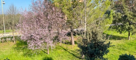 3 Schlafzimmer Haus in Coriano, Italy, Nr. 81211 41