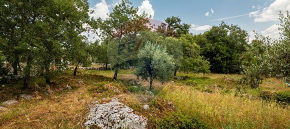 2 غرف نوم منزل في Abiul, Portugal رقم 26263 26