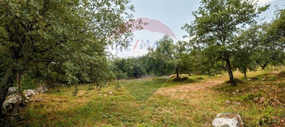 2 غرف نوم منزل في Abiul, Portugal رقم 26263 28