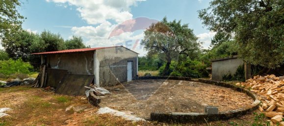 2 غرف نوم منزل في Abiul, Portugal رقم 26263 33