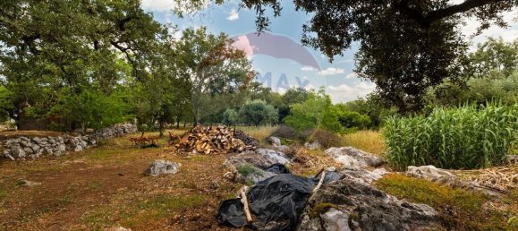 2 غرف نوم منزل في Abiul, Portugal رقم 26263 24