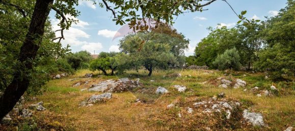 2 غرف نوم منزل في Abiul, Portugal رقم 26263 30