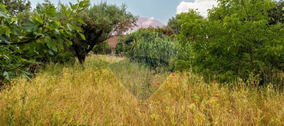 2 غرف نوم منزل في Abiul, Portugal رقم 26263 32