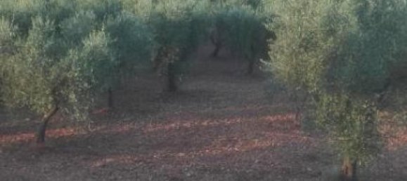 5غرفة منزل في Breitenbach am Inn, Austria رقم 76141 3