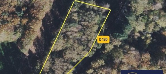 Terrain à Palisse, France 2500m² No. 95979 5