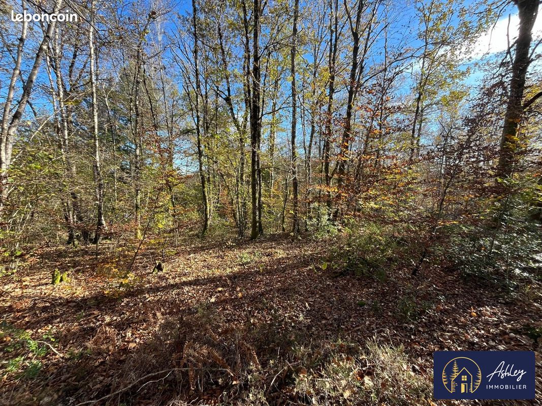 Terrain à Palisse, France 2500m² No. 95979