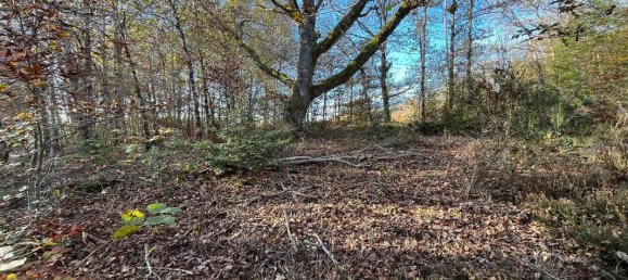 Terrain à Palisse, France 2500m² No. 95979 2