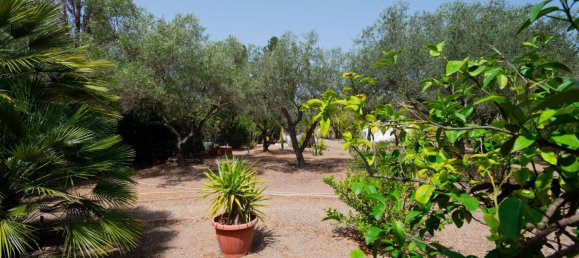 2 rooms House in Sarroch, Italy No. 277498 15