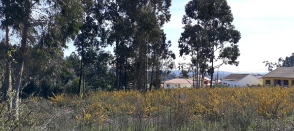  قطعة أرض في Aveiro, Portugal رقم 167951 9