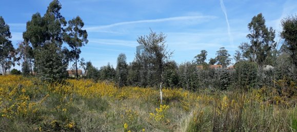  قطعة أرض في Aveiro, Portugal رقم 167951 3