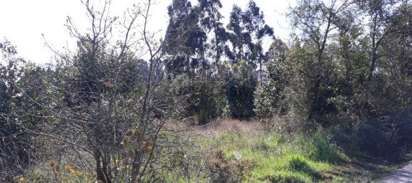  قطعة أرض في Aveiro, Portugal رقم 167951 4