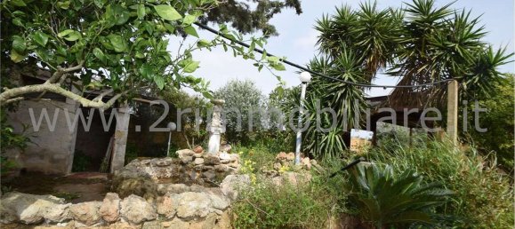 Studio in Mazara del Vallo, Italy, Nr. 224108 4