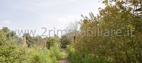 Studio in Mazara del Vallo, Italy, Nr. 224108 11