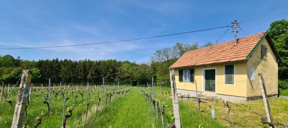 2غرفة قطعة أرض في Deutsch Schutzen-Eisenberg, Austria رقم 76755 2