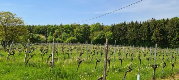 2غرفة قطعة أرض في Deutsch Schutzen-Eisenberg, Austria رقم 76755 5