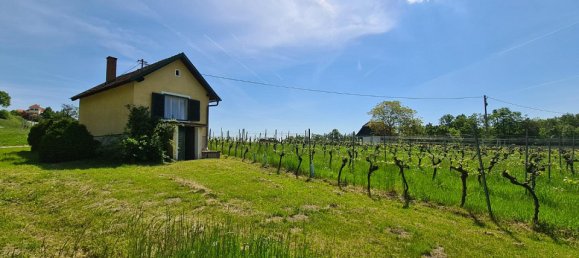 2غرفة قطعة أرض في Deutsch Schutzen-Eisenberg, Austria رقم 76755 4