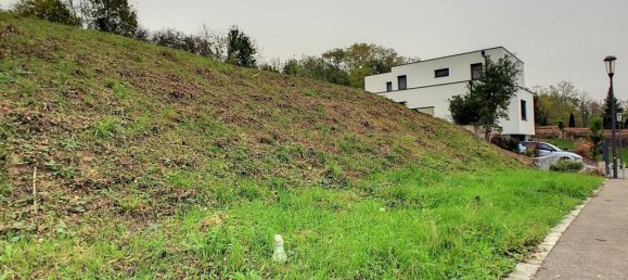 Land in Hangenbieten, France No. 158465 6