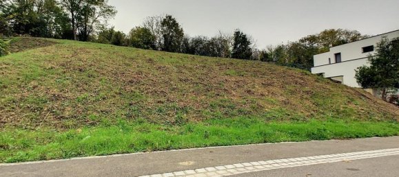 Land in Hangenbieten, France No. 158465 4