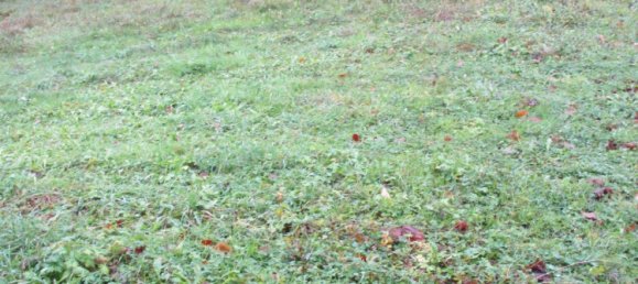 Земельный участок в Хайльбронн, Германия № 322915 3